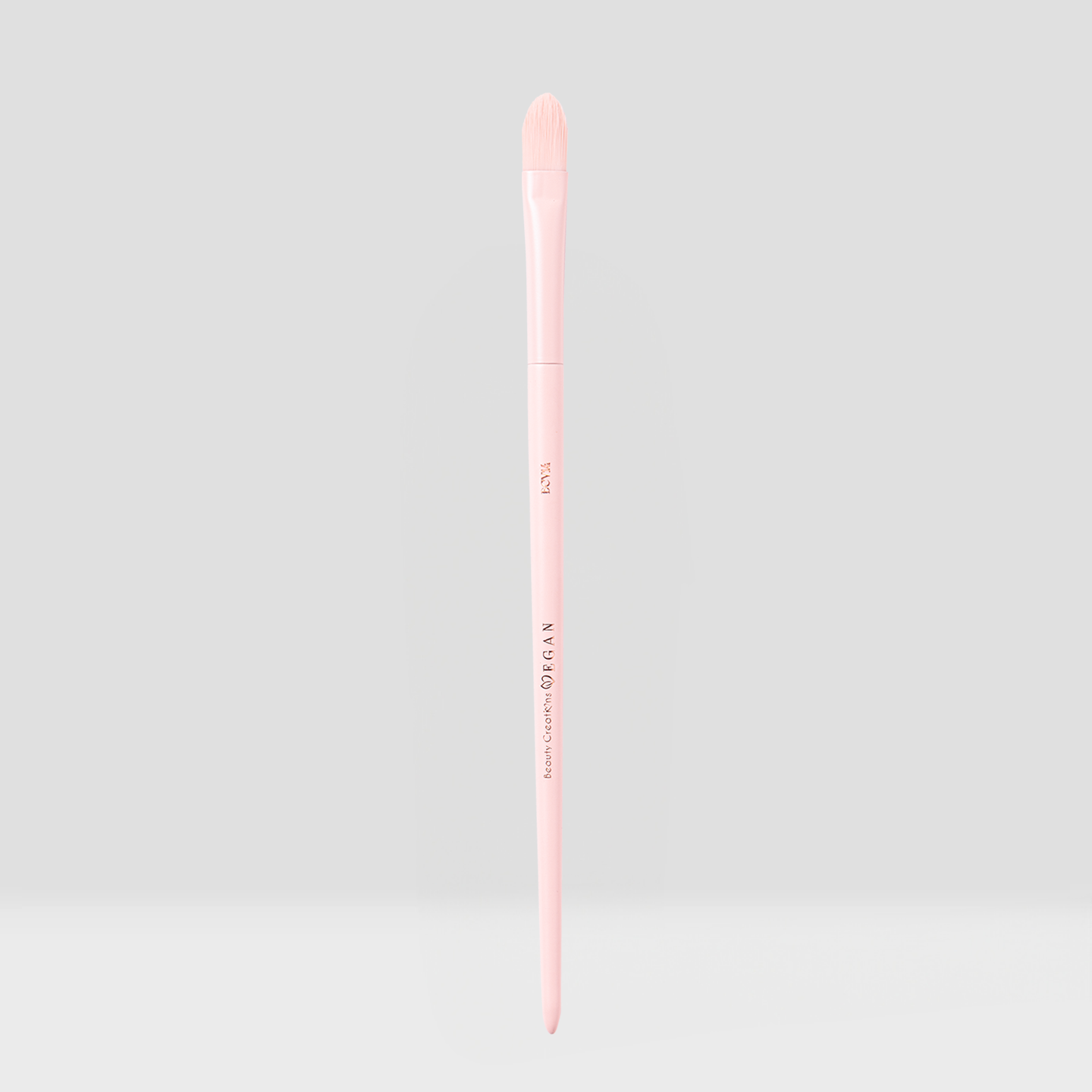 Vegan Brush Eye Bundle