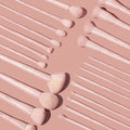 Complete Vegan Brush Collection Bundle